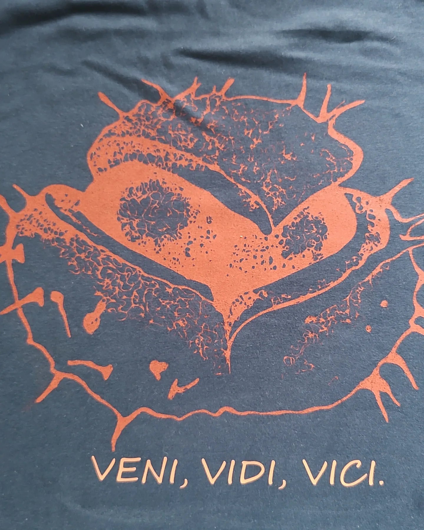 Veni vidi vici t-shirt